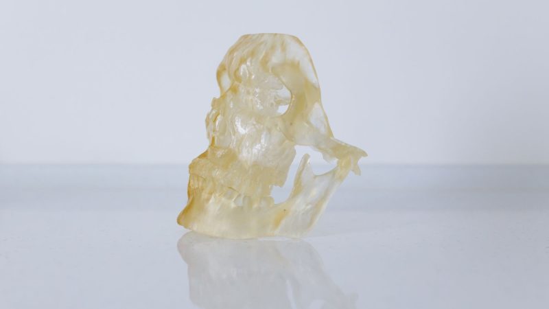 Nahaufnahme eines durchscheinenden Totenkopfmodells aus Resin auf einer spiegelnden Oberfläche